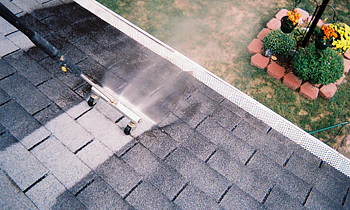 Roof Cleaning in Orlando FL Roof Cleaning Services in Orlando FL Roof Cleaning in FL Orlando Clean the roof in Orlando FL Roof Cleaner in Orlando FL Roof Cleaner in FL Orlando Quality Roof Cleaning in Orlando FL Quality Roof Cleaning in FL Orlando Professional Roof Cleaning in Orlando FL Professional Roof Cleaning in FL Orlando Roof Services in Orlando FL Roof Services in FL Orlando Roofing in Orlando FL Roofing in FL Orlando Clean the roof in Orlando FL Cheap Roof Cleaning in Orlando FL Cheap Roof Cleaning in FL Orlando Estimates on Roof Cleaning in Orlando FL Estimates in Roof Cleaning in FL Orlando Free Estimates in Roof Cleaning in Orlando FL Free Estimates in Roof Cleaning in FL Orlando